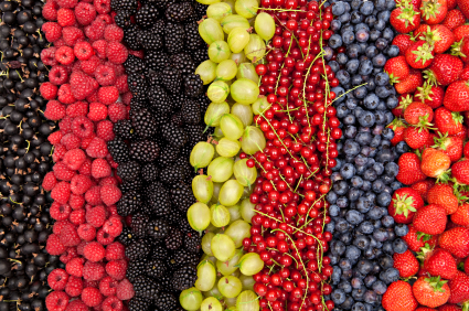 delicious fresh berries in a row